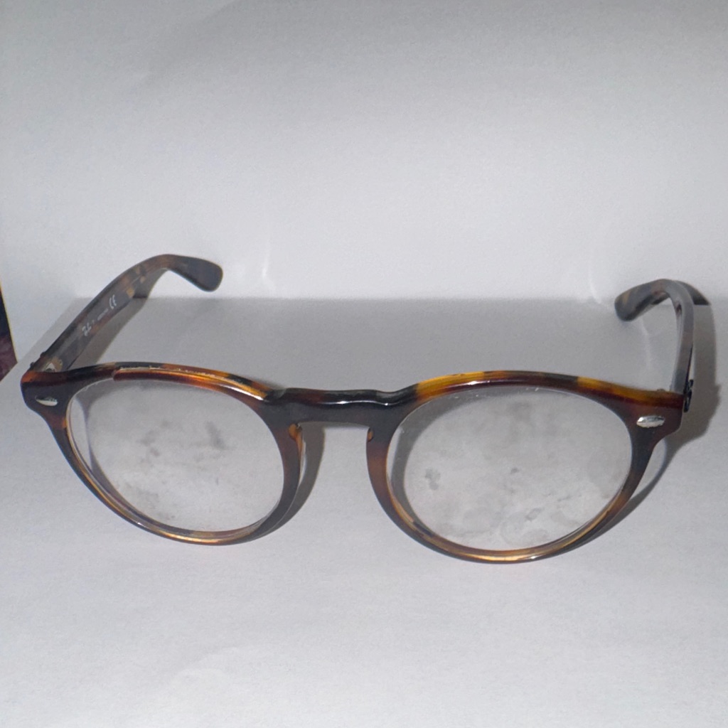 Ray-Ban Brown Tortoise Sunglasses